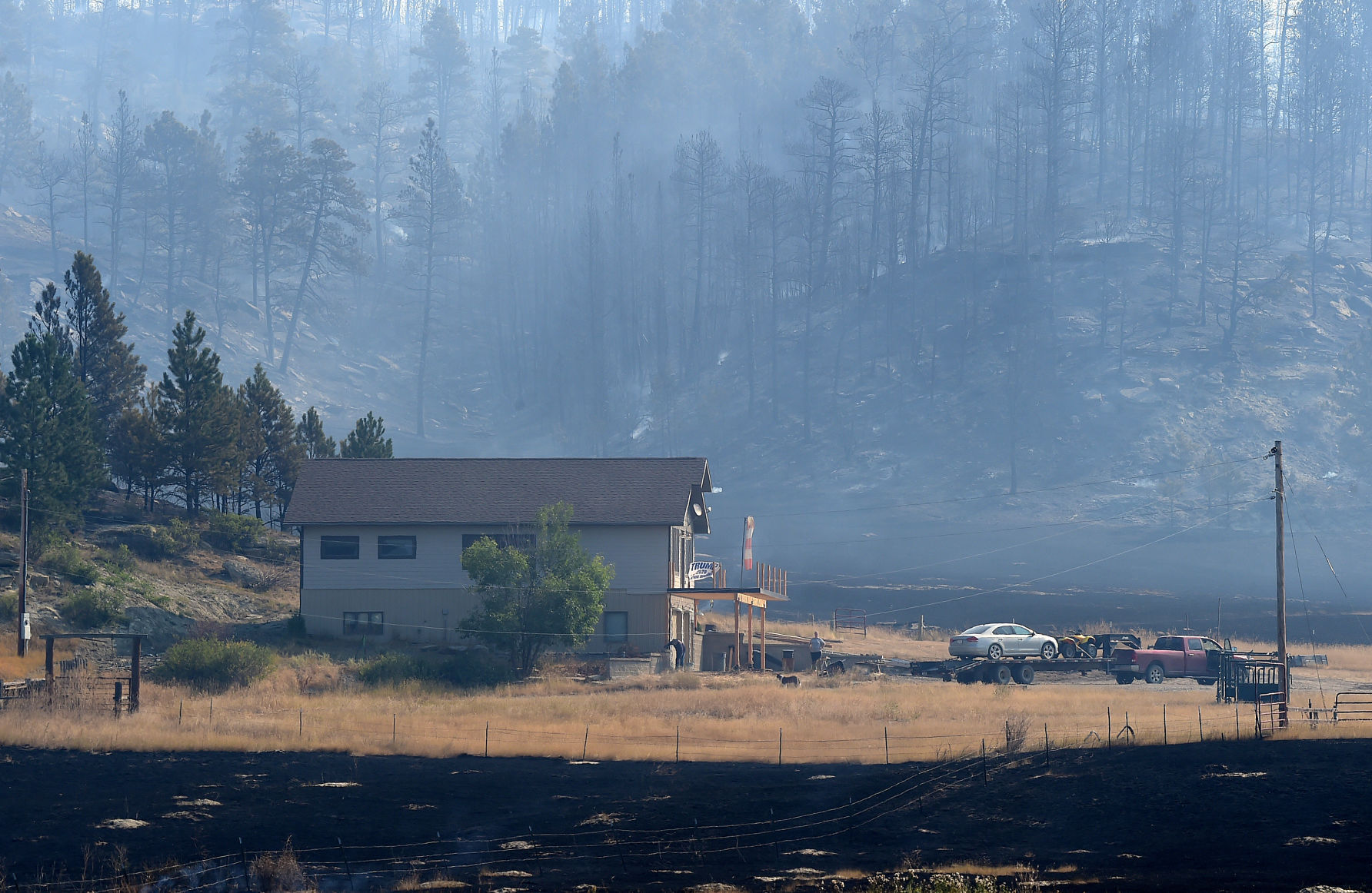Bobcat fire near Roundup